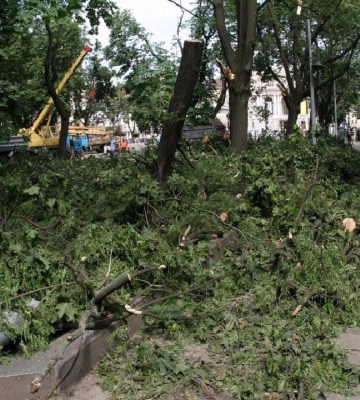 Непогода в Полтавской области: повреждены дома, есть отключение электроэнергии