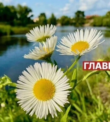 Синоптикиня Наталка Діденко розповіла, де в понеділок буде спекотно, а де пройдуть дощі з грозами