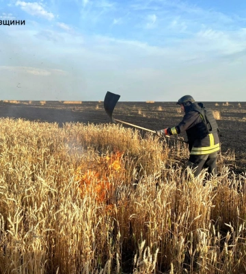 Хлебные поля Харьковщины россияне атаковали КАБами и FPV-дроном – есть раненый