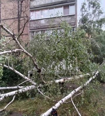 Пыльная буря и ураган на Донбассе: в Донецке погиб ребенок, в Горловке — пострадал подросток