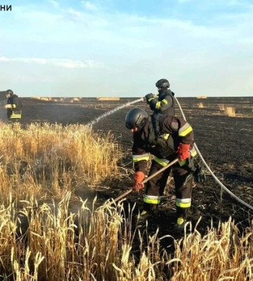 На Харківщині після удару РФ загорілося пшеничне поле: вогонь охопив 60 гектарів