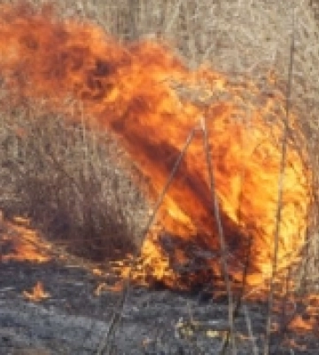 На Кіровоградщині через уламки збитого дрона загорілося поле з пшеницею