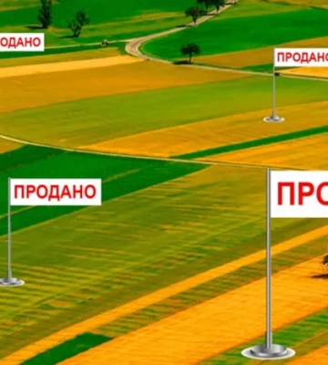 Ціни стрімко зросли. Як змінилася вартість гектара за час роботи ринку землі Ціни стрімко зросли. Як змінилася вартість гектара за час роботи ринку землі