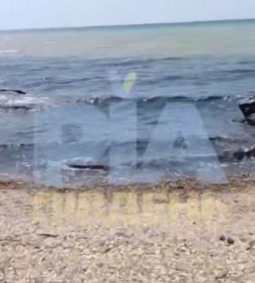Пляжи в мазуте — побережье Азовского моря  под Мелитополем превращается в чёрную зону (видео)