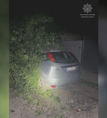 П’яний водій врізався у дерево в Харкові вночі 