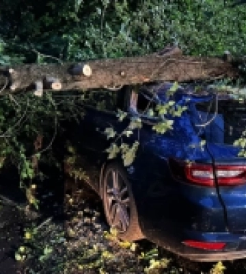 У Луцьку рятувальники звільнили автівки, на які впало дерево
