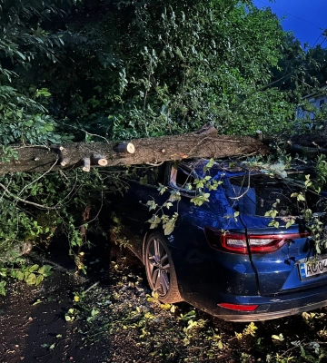 У Луцьку рятувальники звільнили автівки, на які впало дерево