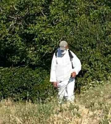 Кілька прифронтових селищ на Запоріжжі атакувала сарана