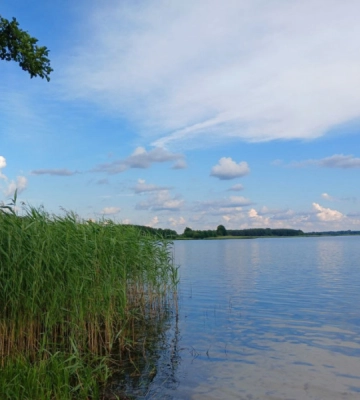 Спокійний плес, піщаний берег і затишна атмосфера: розповіли про місце відпочинку на Волині