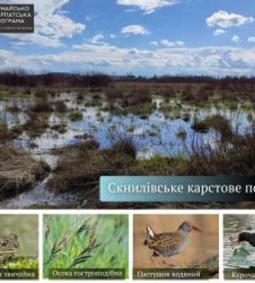 У Скнилові з’явиться новий заказник: природа карстових озер під охороною