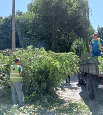 У двох парках Рівного прибирають поламані дерева