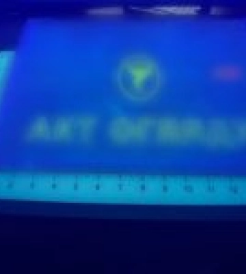 На кордоні з Угорщиною затримали порушника з підробленими документами