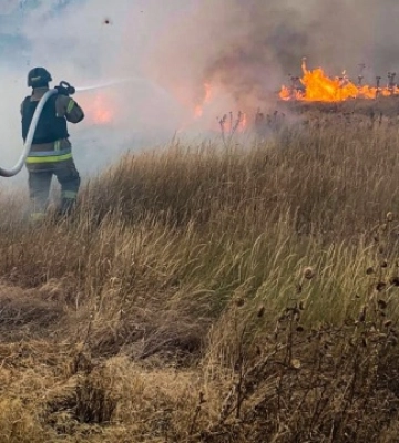 В Украине за сутки произошло 265 природных пожаров, в Херсонской области из-за атаки рф горело пшеничное поле