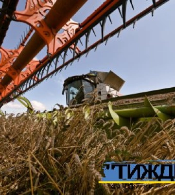 Посуха, сарана і ракети: чи буде Україна з зерном у 2025 році?