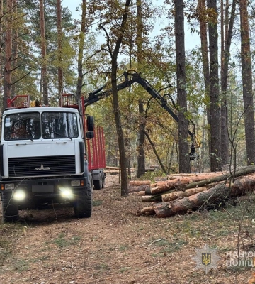На Сумщині під час лісозаготівлі загинула людина