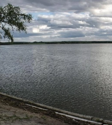 Уманська прокуратура хоче відсудити “Лебедине озеро”