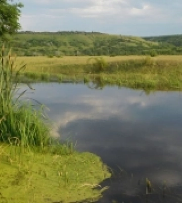 На річці Кодима потонув чоловік На річці Кодима потонув чоловік