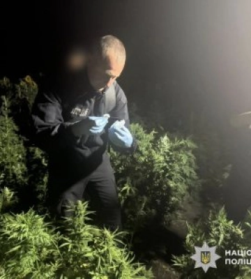 Маскували наркоплантацію серед поля соняшників - на Миколаївщині поліцейські затримали злочинну групу за підозрою у незаконному обігу наркотиків Маскували наркоплантацію серед поля соняшників - на Миколаївщині поліцейські затримали злочинну групу за підозрою у незаконному обігу наркотиків