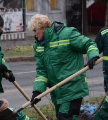 У Миколаєві висадять ще понад 300 дерев