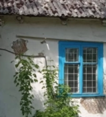 Врожай на Волині збирають понад 3 тисячі комбайнів
