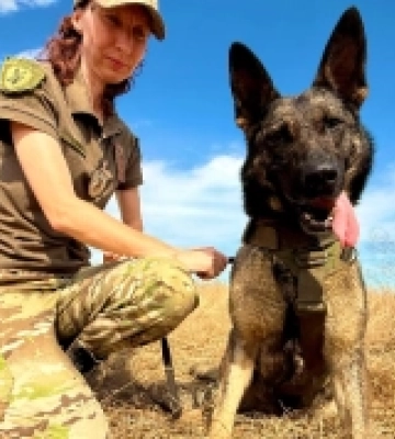 На Одещині службова вівчарка Ельза допомогла врятувати життя пенсіонеру