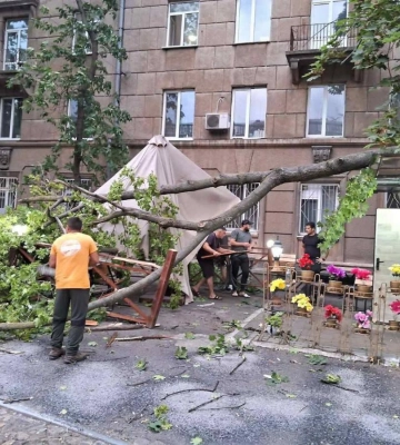 Повалені дерева та пошкоджені авто: в Одесі шторм накоїв лиха