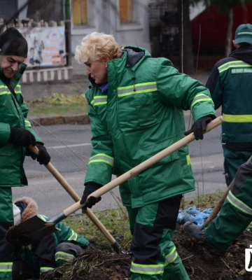 У Миколаєві висадять ще понад 300 дерев