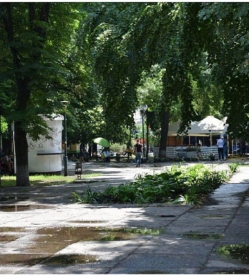 Зупинка, фонтан, дерева: У власність Кропивницького передали сквер «Центральний»