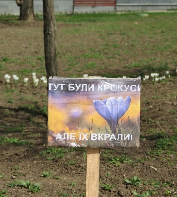У Миколаєві з початку року зафіксували понад 260 випадків псування або крадіжки зелених насаджень