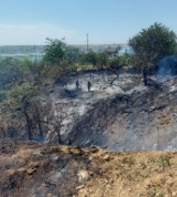 На околиці Болграда спалахнула масштабна пожежа — вогонь загрожував житловим будинкам