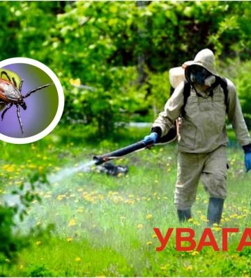 Закарпатцям пропонують обробку території від кліщів