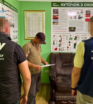 Деревини на 5,2 млн гривень. На Закарпатті повідомили про підозру лісничому, який допустив незаконну вирубку дубів
