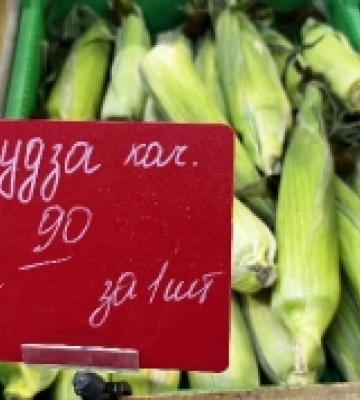 У Ковелі почали продавати кукурудзу: скільки коштує в 2025 році