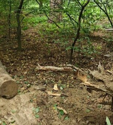 У Києві пролунав вибух. Що сталося