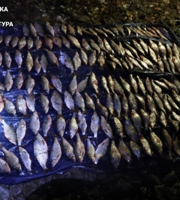 В Харьковской области мужчина наловил рыбы на 750 тыс и предстанет перед судом