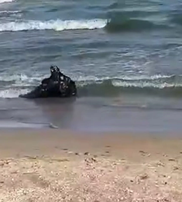 Українські ВМС знищили морську міну на узбережжі Одещини (відео)
