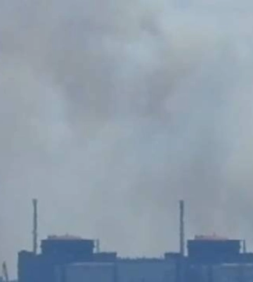 Задымление возле ЗАЭС вызвал лесной пожар: в МАГАТЭ оценили угрозы