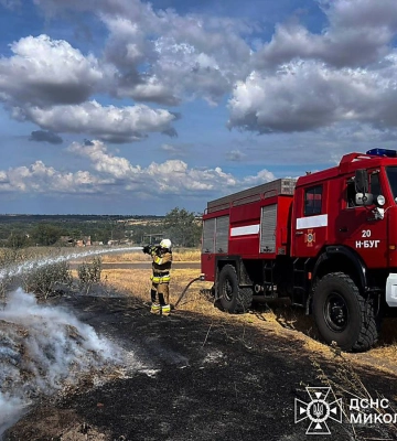 За добу на Миколаївщині виникло 24 пожежі – більшість з них в екосистемах