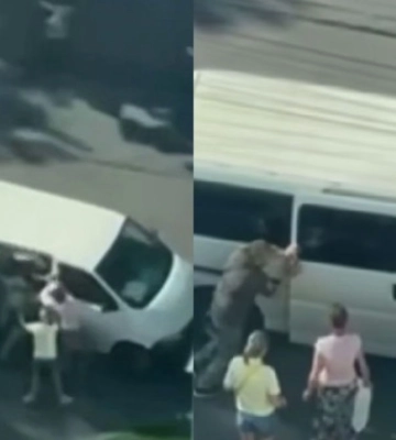 Ініціювали службову перевірку: в Одеському ТЦК та СП прокоментували інцидент з "заштовхуванням в бус" чоловіка