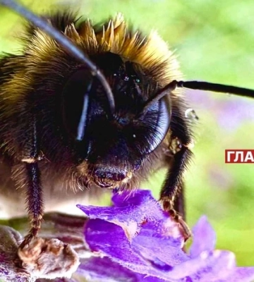 В Україні дощитиме: погода на 22 липня