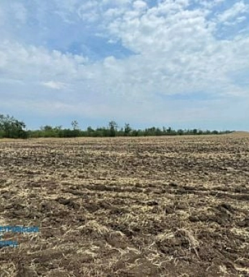 На Криворожье прокуратура вернула государству землю стоимостью 80 миллионов гривен