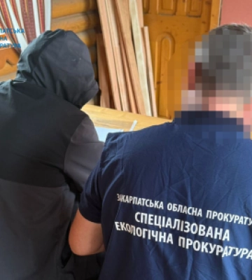 На Закарпатті незаконно вирубали майже 3400 дерев: збитки довкіллю — понад 55 мільйонів гривень
