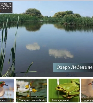 Карстове озеро на Львівщині стане ландшафтним заказником