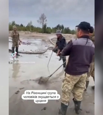 У Луцьку учасника бойових дій з маленьким собакою працівниця автовокзалу не допустила до поїздки