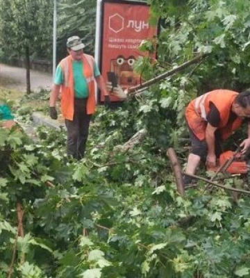 Через негоду в Києві постраждали 5 осіб, зокрема 13-річна дівчина