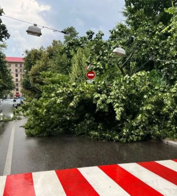 В Киеве от непогоды пострадали люди: пять человек, в том числе 13-летняя девочка, госпитализированы
