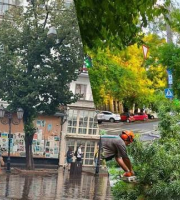 Одесса также пострадала от ливня: упало три десятка деревьев, есть проблемы с электричеством