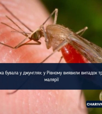 Туристка бувала у джунглях: у Рівному виявили випадок тропічної малярії