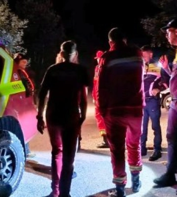 Ведмідь, що напав на румунських туристів, міг мігрувати на територію Закарпаття