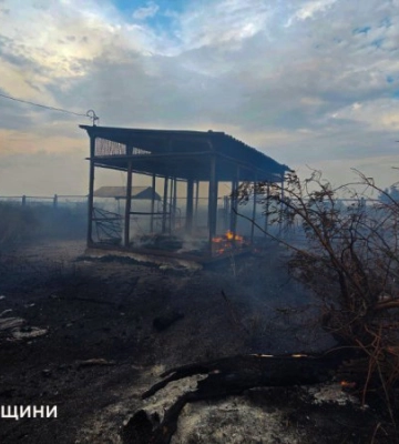 Через обстріли на Миколаївщині пошкоджені будинки та лінія електропередач